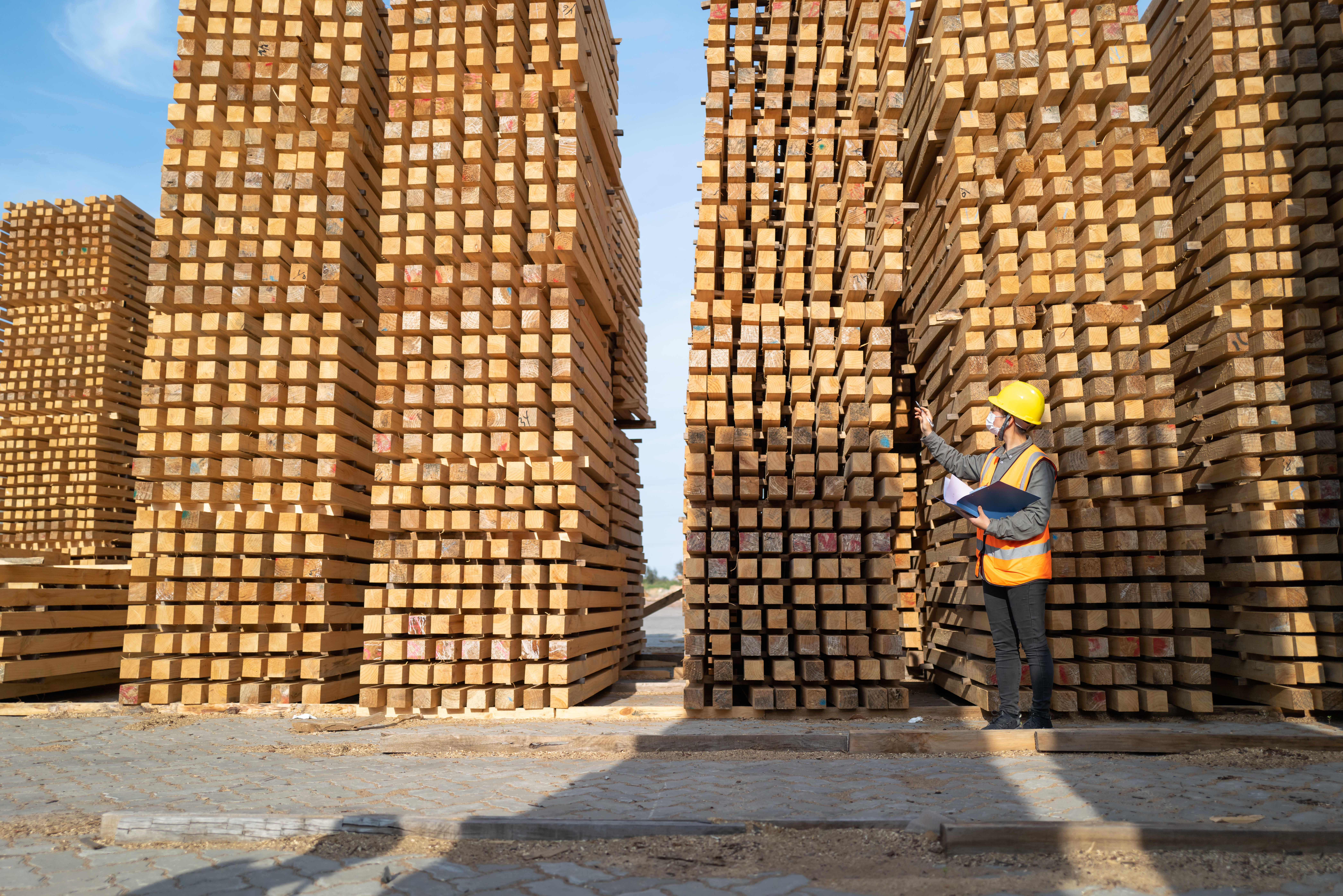 Piles de bois avec une personne debout devant